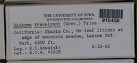 Image Associated With the Occurence